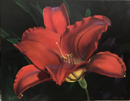 Red-Daylily