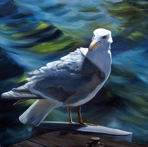 Seattle-Seagull